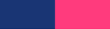 Royal-Blue_Neon-Coral