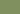 Olive_Olive