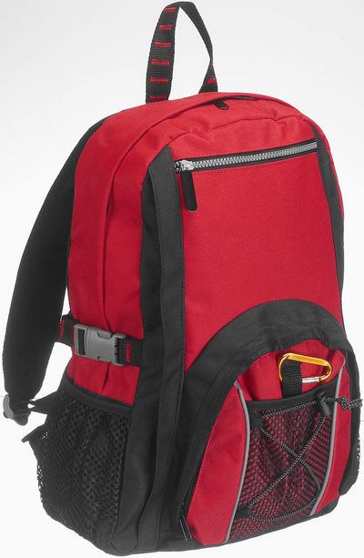 Derby Of Sweden 158049 Plecak SILVERLINE DAYPACK